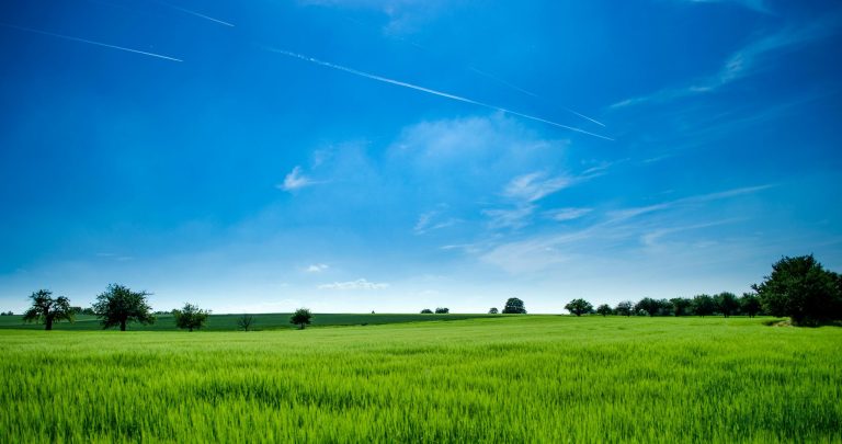 Banner 2